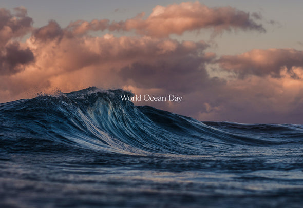It’s World Ocean Day!